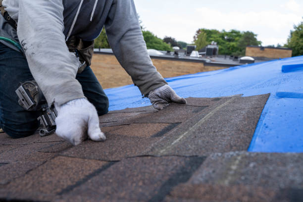 Best Affordable Roofing Company  in Vandercook Lake, MI