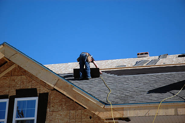 Best Gutter Installation and Roofing  in Vandercook Lake, MI