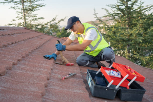Best Local Roofing Companies  in Vandercook Lake, MI