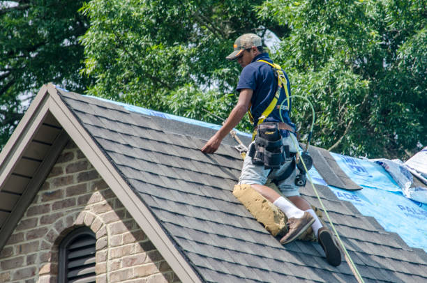 Best Roofing Contractor Near Me  in Vandercook Lake, MI