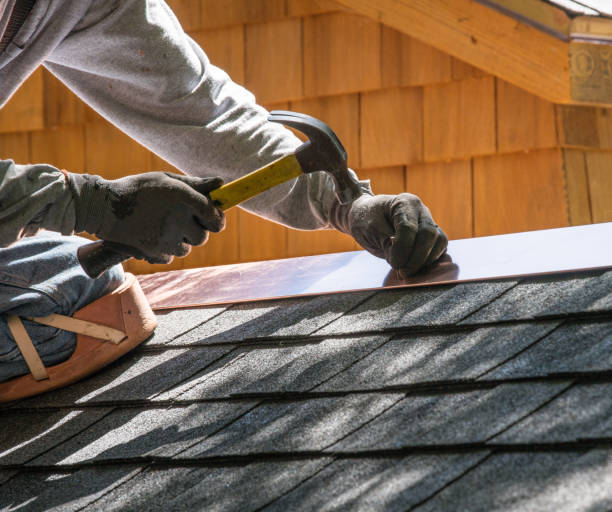 Best Roof Maintenance Services  in Vandercook Lake, MI